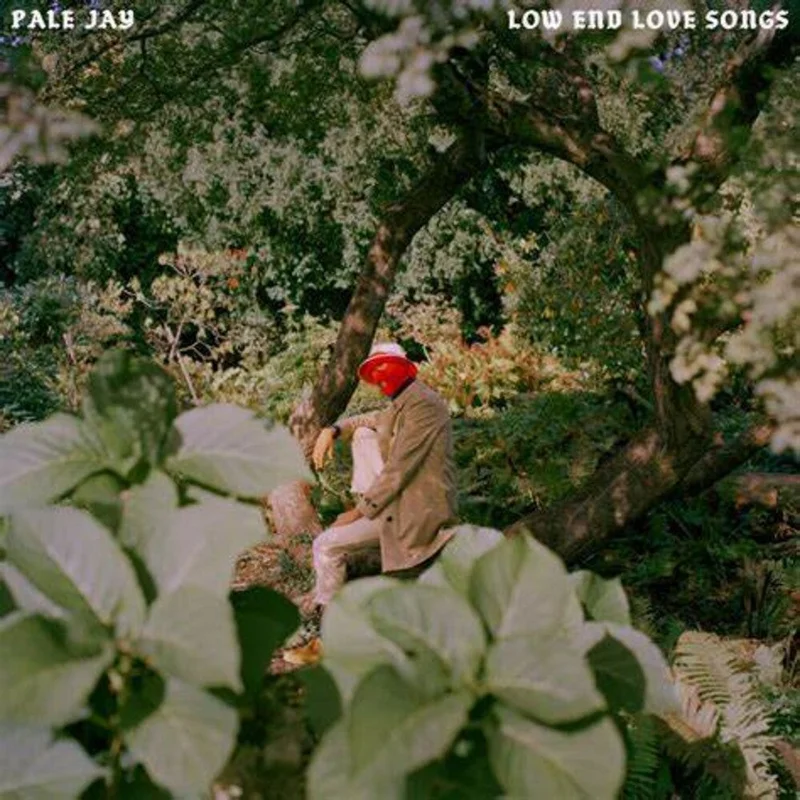 Pale Jay - Low End Love Songs - Storm Cloud Grey [Colored Vinyl] (Gry)