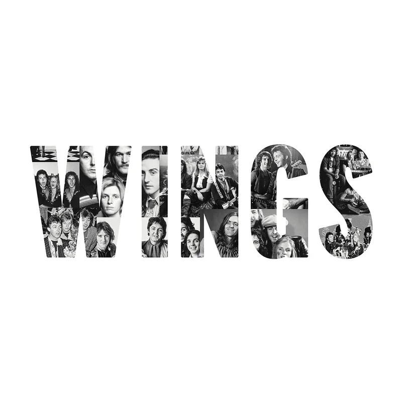 PAUL MCCARTNEY & WINGS - Wings (The Definitive Self-Titled Collection) - LP - Black Vinyl