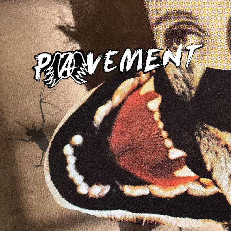 Pavement - Hecklers Choice: Big Gums And Heavy Lifters [CD]