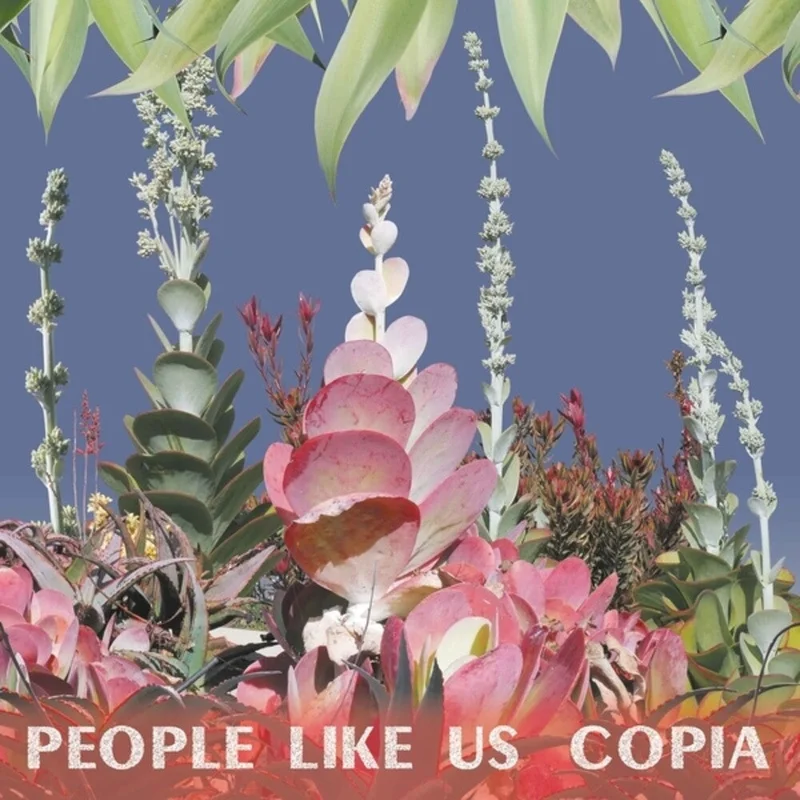 People Like Us - Copia [LP]