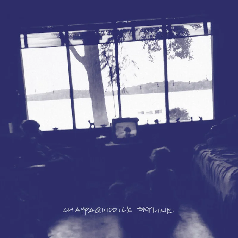 Pernice Brothers - Chappaquiddick Skyline [Limited Edition Clear Vinyl]