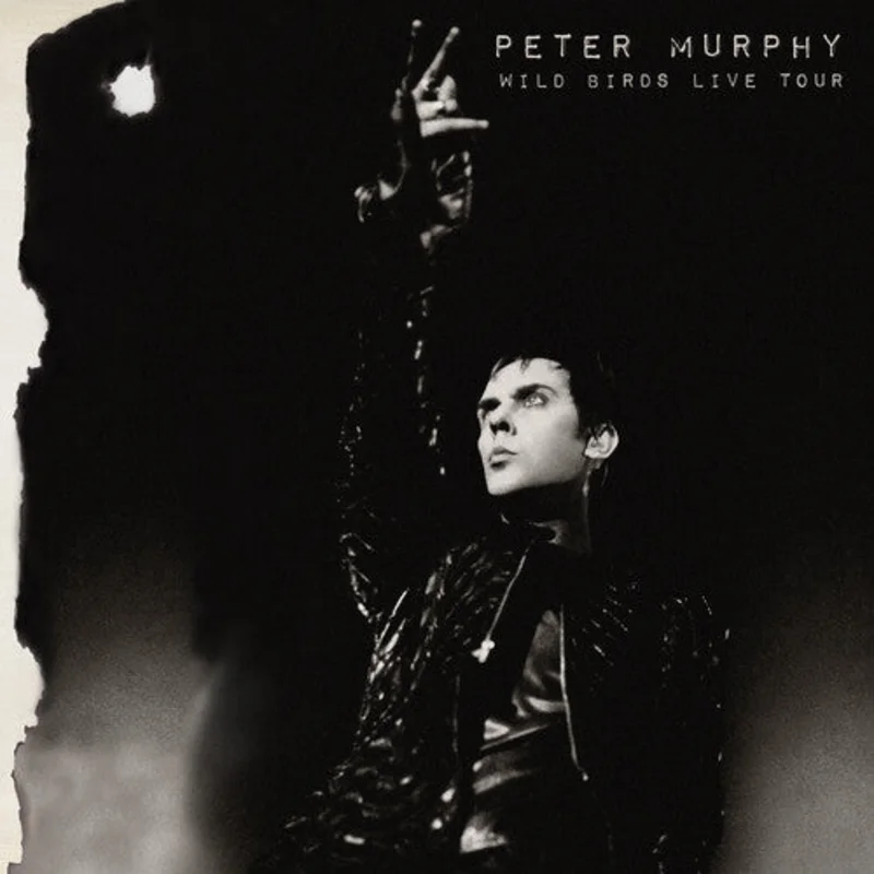 Peter Murphy - Wild Birds Live Tour - LP