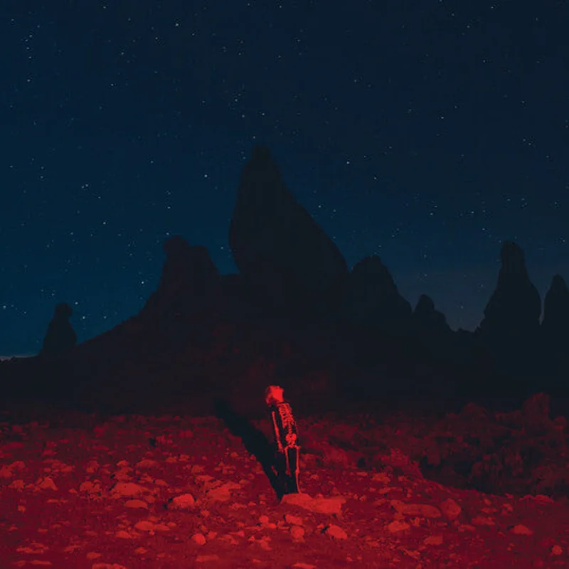 Phoebe Bridgers - Punisher - LP
