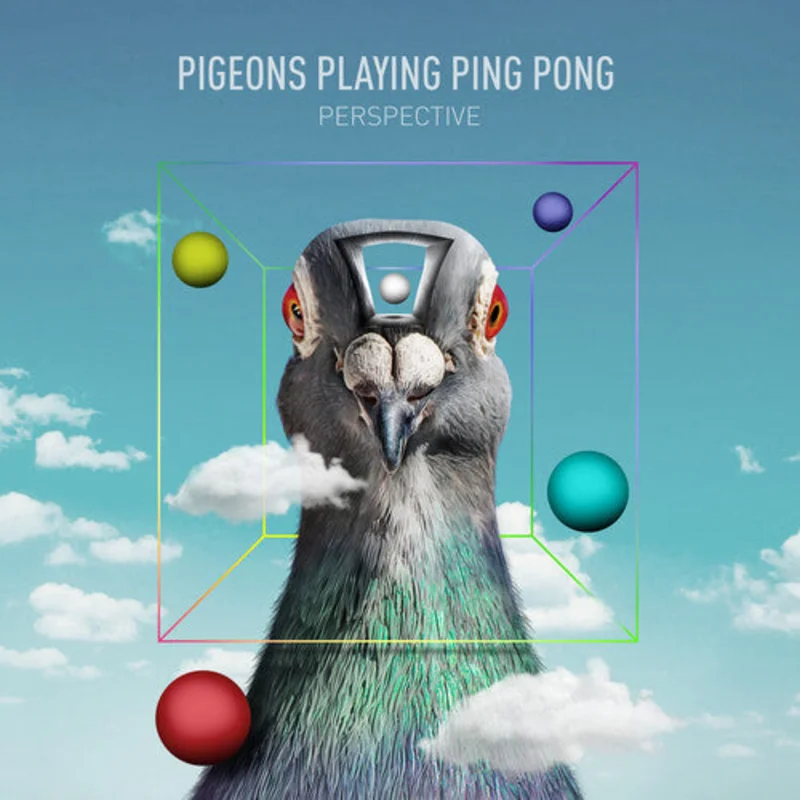 Pigeons Playing Ping Pong - Perspective - LP