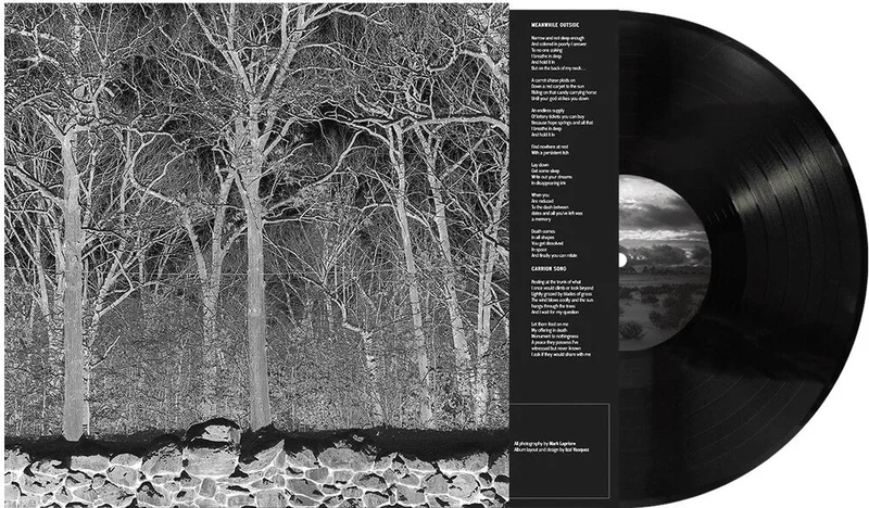 Pile - Sunshine & Balance Beams [LP]