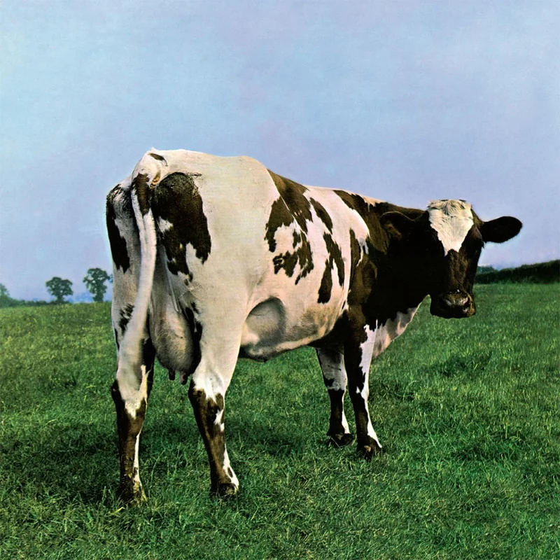 PINK FLOYD - Atom Heart Mother (Reissue) - LP - Gatefold Vinyl
