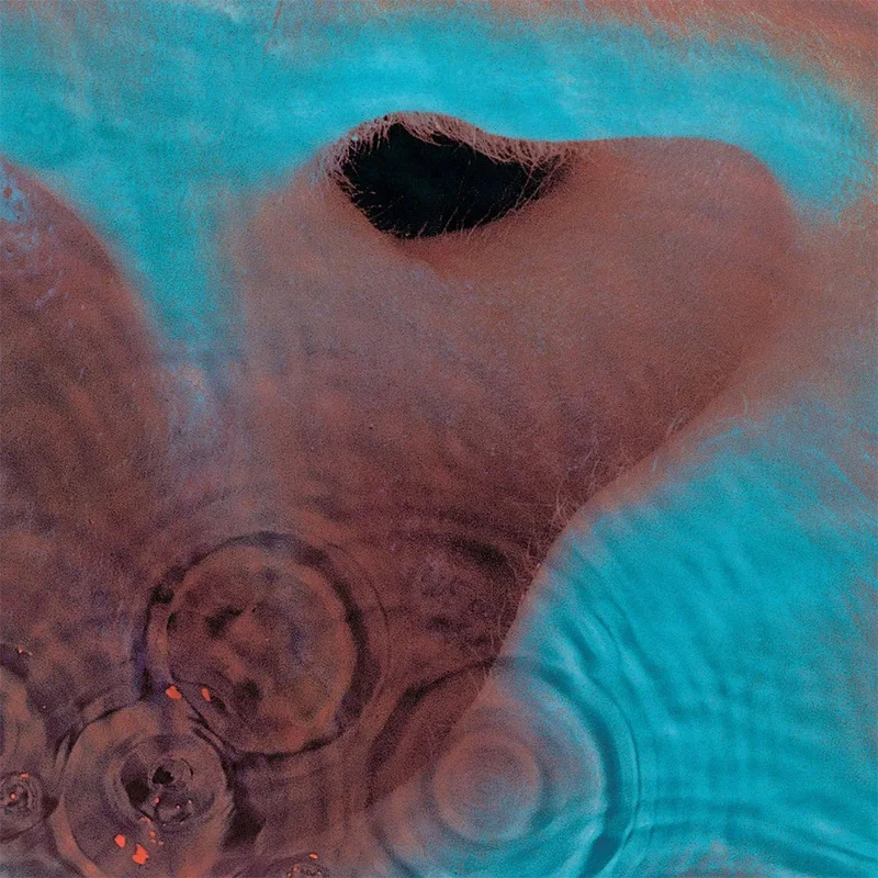 PINK FLOYD - Meddle (Reissue) - LP - Gatefold Vinyl