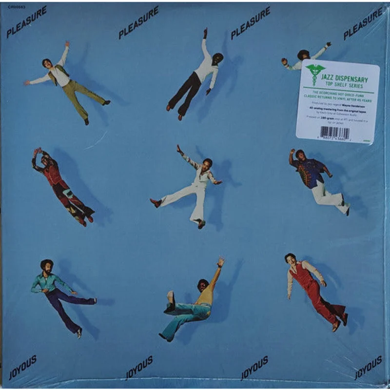 Pleasure - Joyous - LP