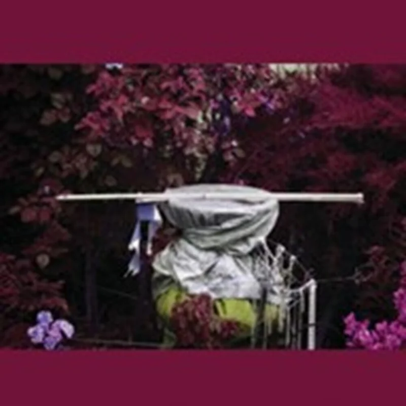 Pre-Order: Ava Mendoza - Alive Alone Alive Together [Limited Edition]