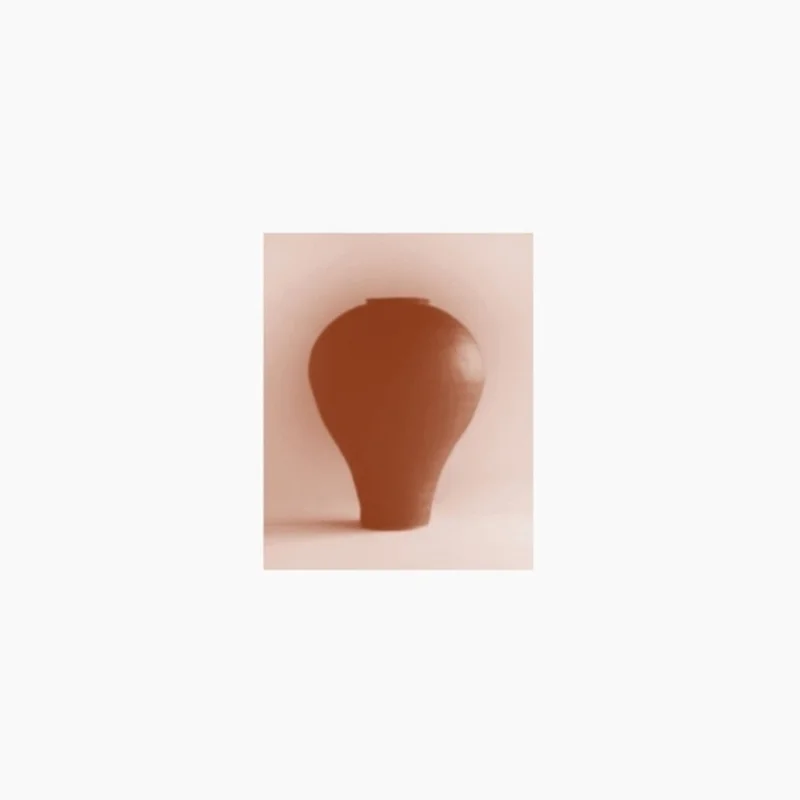 Pre-Order: Beatriz Ferreyra - Distracted Godc [LP]