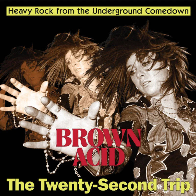 Pre-Order: Brown Acid - Twenty-Second Trip / Various - Brown Acid - The Twenty-Second Trip (Various Artists) [LP]