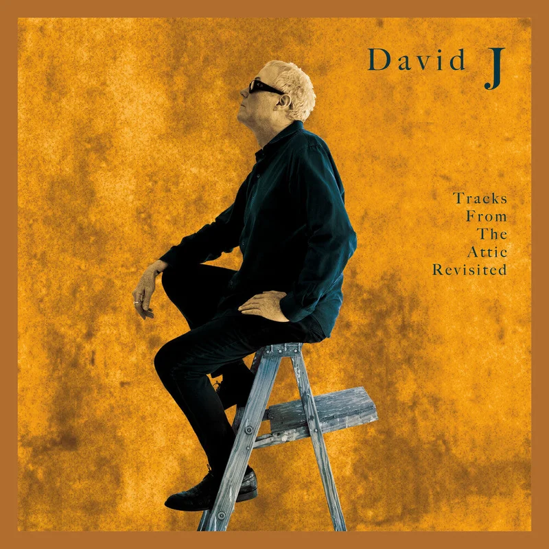 Pre-Order: David J - Tracks From The Attic Revisited [LP]