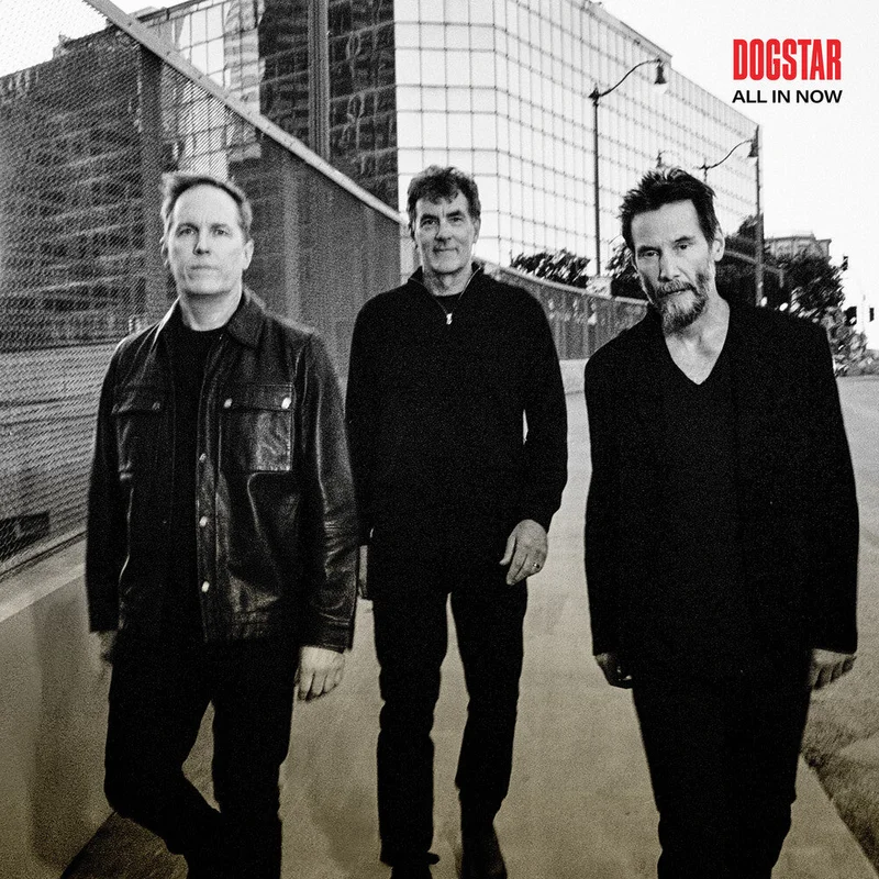 Pre-Order: Dogstar - All In Now [Black]