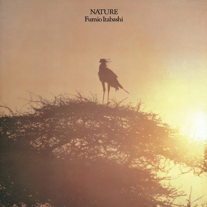 Pre-Order: Fumio Itabashi - Nature [LP]