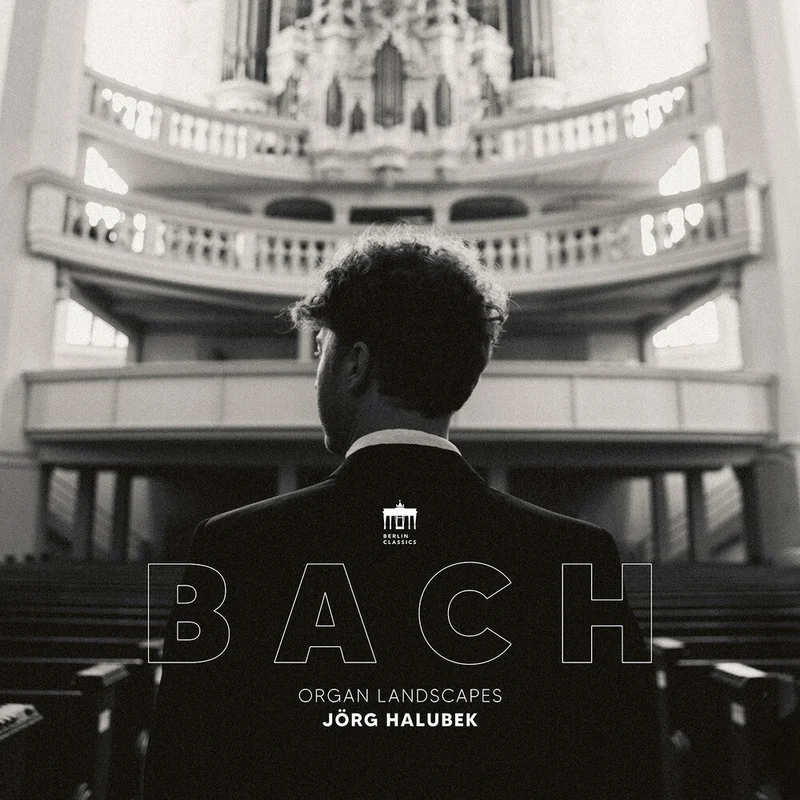 Pre-Order: Jorg Halubek - Organ Landscapes [LP]