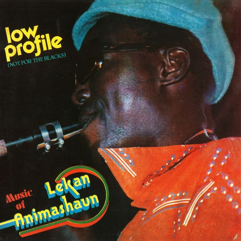 Pre-Order: Lekan Animashaun - Low Profile - Not For The Blacks [LP]