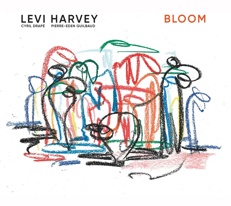 Pre-Order: Levi Harvey - Bloom [LP]