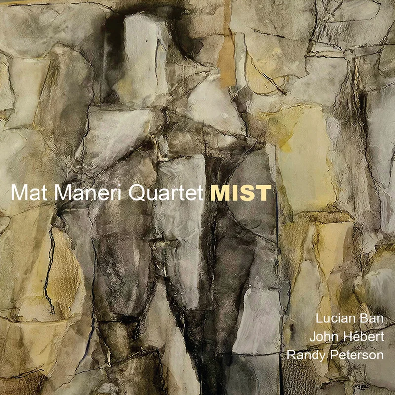 Pre-Order: Mat Maneri - Mist [CD]