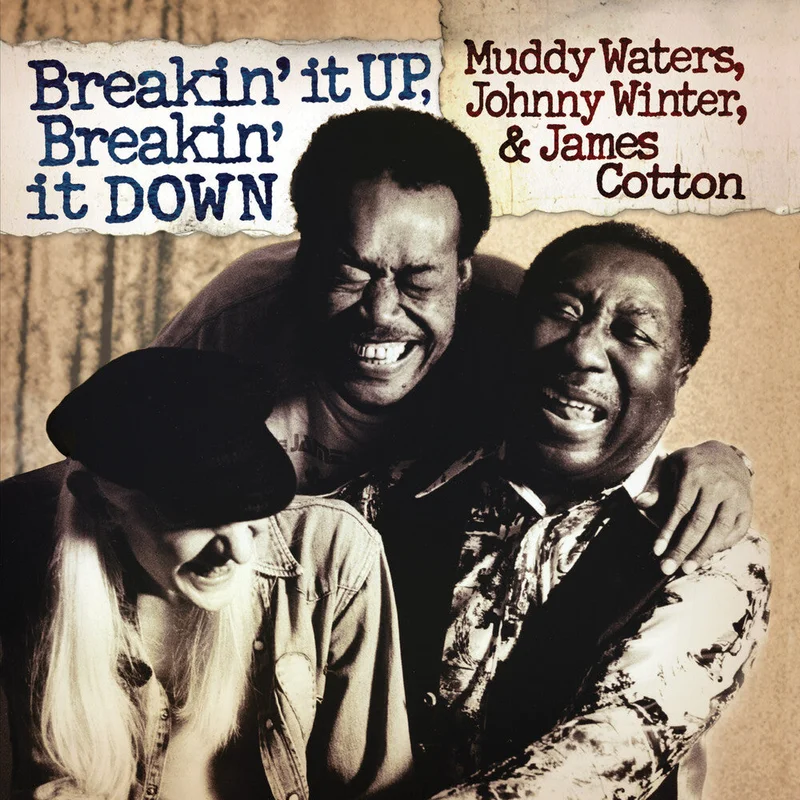 Pre-Order: Muddy Waters - Breakin' It Up Breakin' It Down (Audp) [Clear Vinyl]