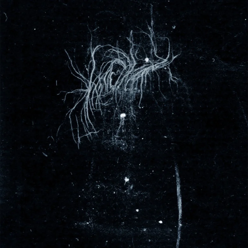 Pre-Order: My Heart, An Inverted Flame - My Death Is More Beautiful Than Your Life [CD]