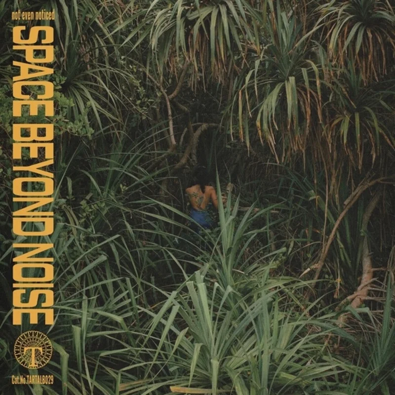 Pre-Order: not even noticed - Space Beyond Noise [LP]