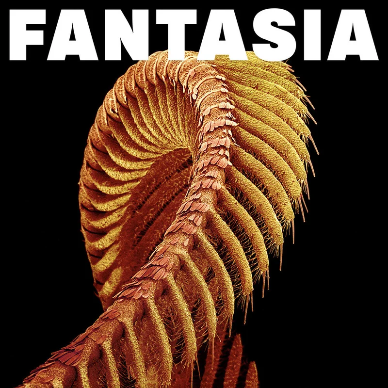 Pre-Order: SLIFT - Fantasia [Yellow]