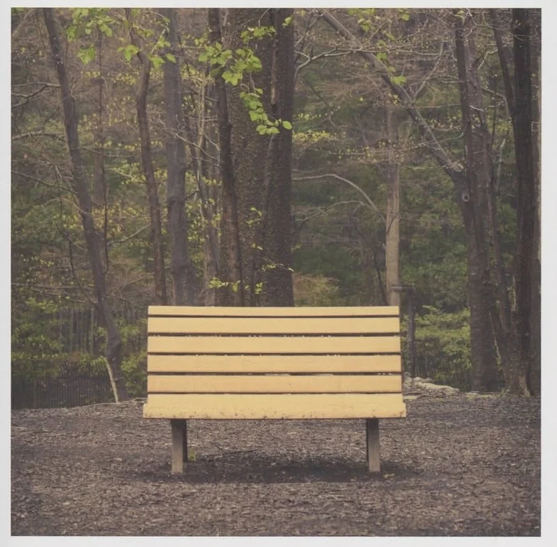 Pre-Order: Streetlight Manifesto - Hands That Thieve [Colored Vinyl] [Reissue]