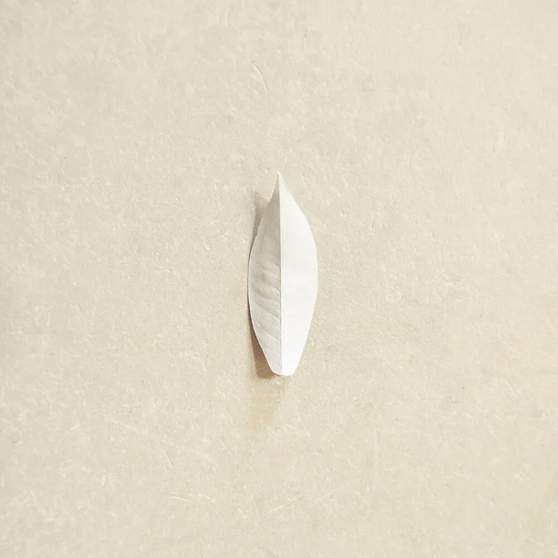 Pre-Order: Sylvain Chauveau - Complexity Of The Simple [LP]