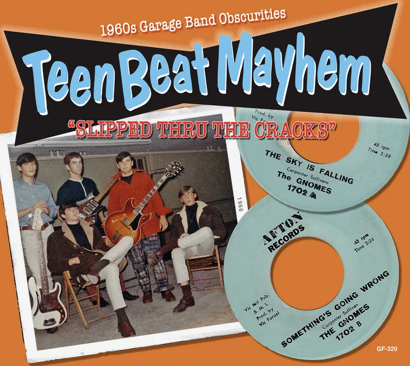 Pre-Order: Teenbeat Mayhem / Various - Teenbeat Mayhem / Various [CD]