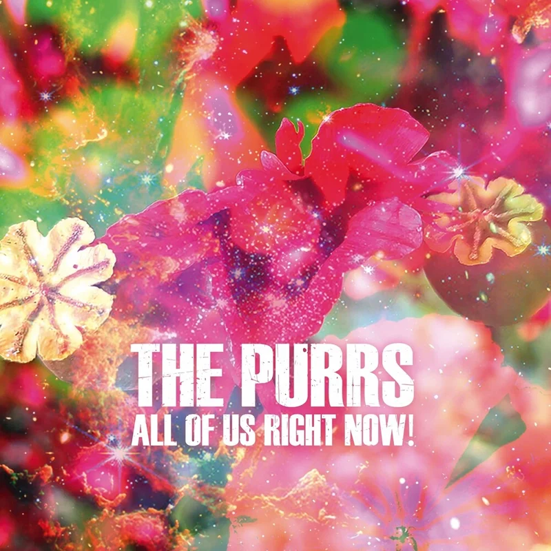 Pre-Order: The Purrs - All Of Us Right Now [LP]