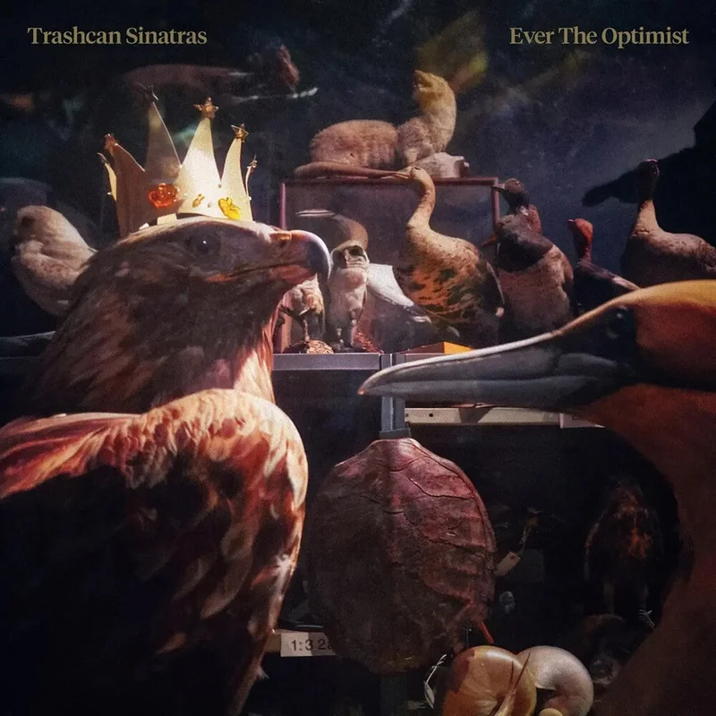 Pre-Order: Trashcan Sinatras - Ever The Optimist (Uk) [CD]