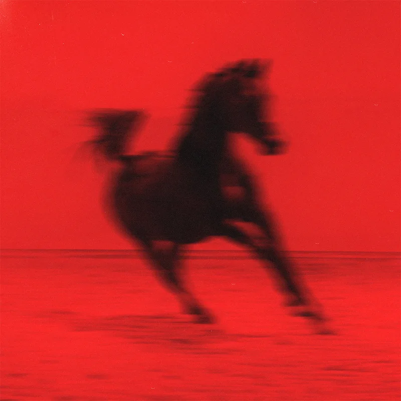 RED RUM CLUB - BUCK - LP - Black Vinyl [SEP 5]