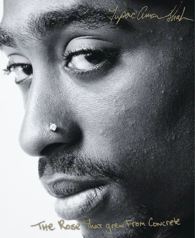 Rose That Grew From Concrete by Tupac   Shakur
