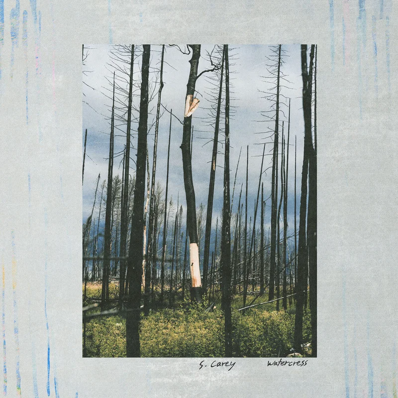 S. Carey - Watercress [LP]
