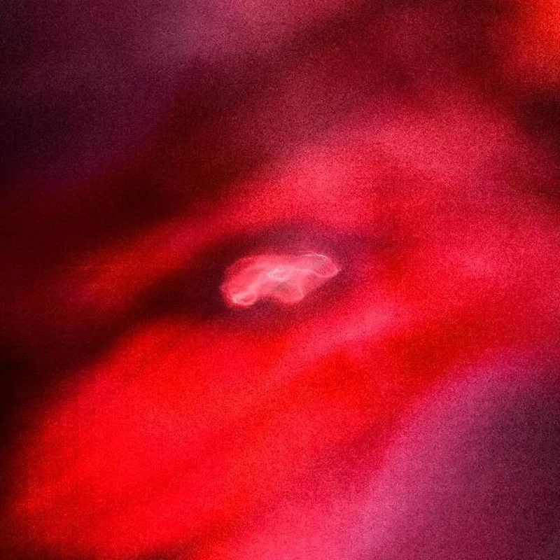 Saffronkeira / Siavash Amini - Faded Orbit [Indie Exclusive Limited Edition Red LP]