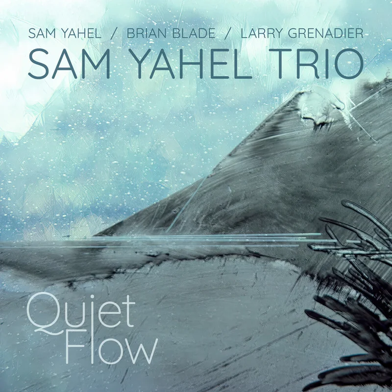 Sam Yahel - Quiet Flow [CD]