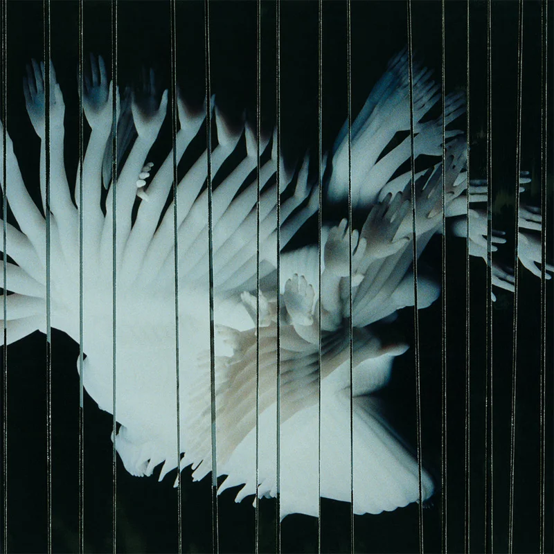 SCALER - Endlessly - LP - Vinyl