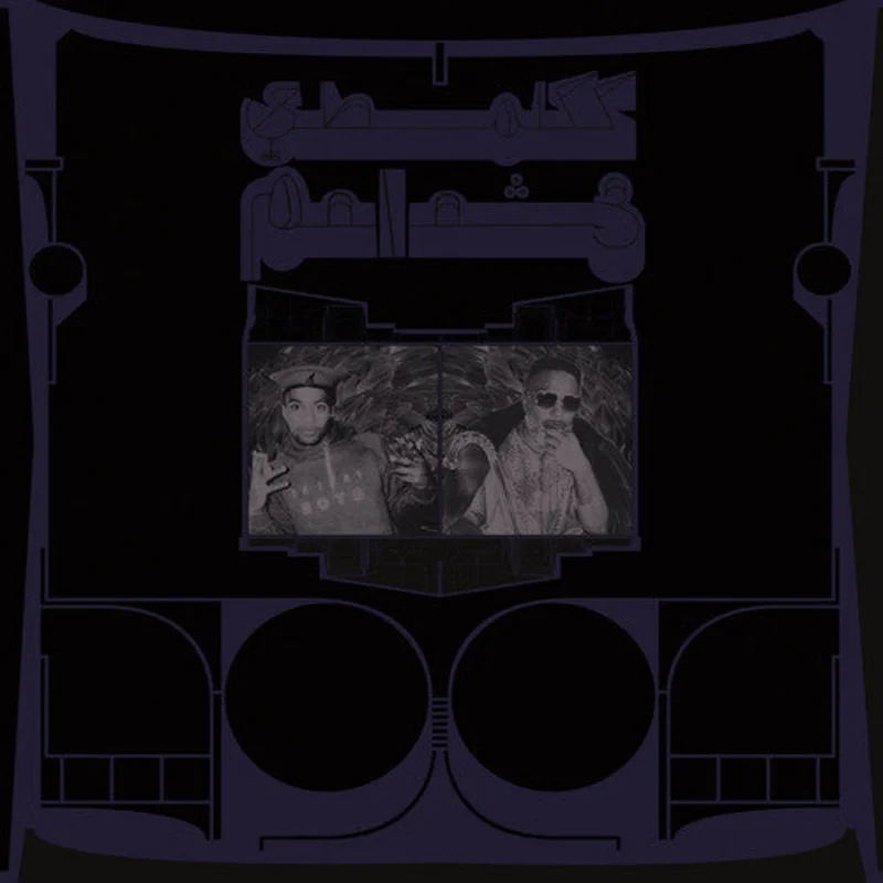 Shabazz Palaces - Exotic Birds of Prey - LP