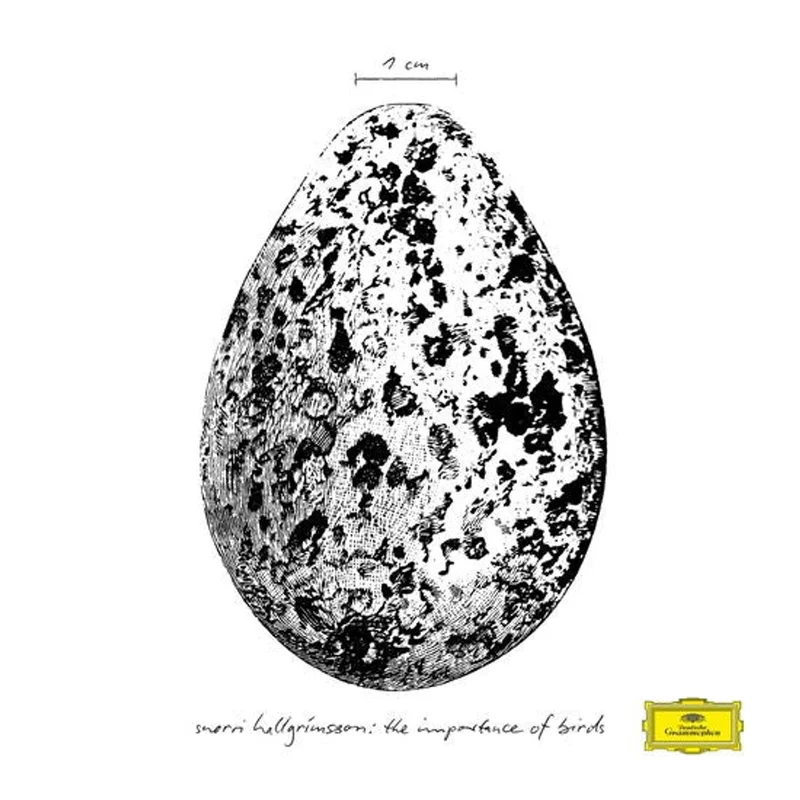 Snorri Hallgrmmsson - The Importance Of Birds EP [LP]
