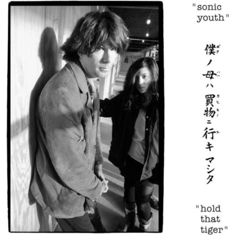 Sonic Youth - Hold That Tiger - LP