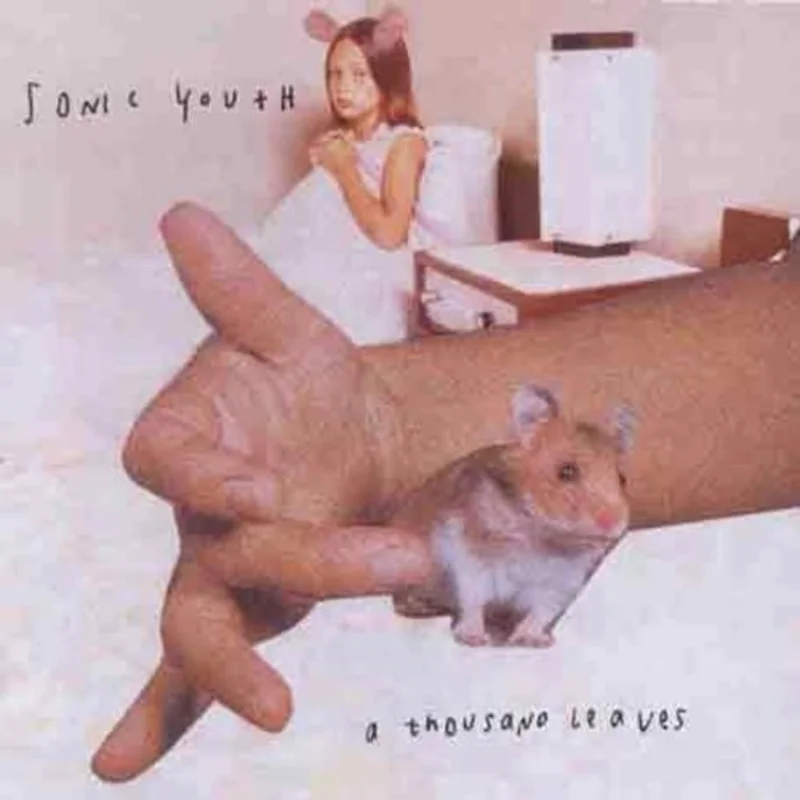 Sonic Youth - Thousand Leaves [CD]
