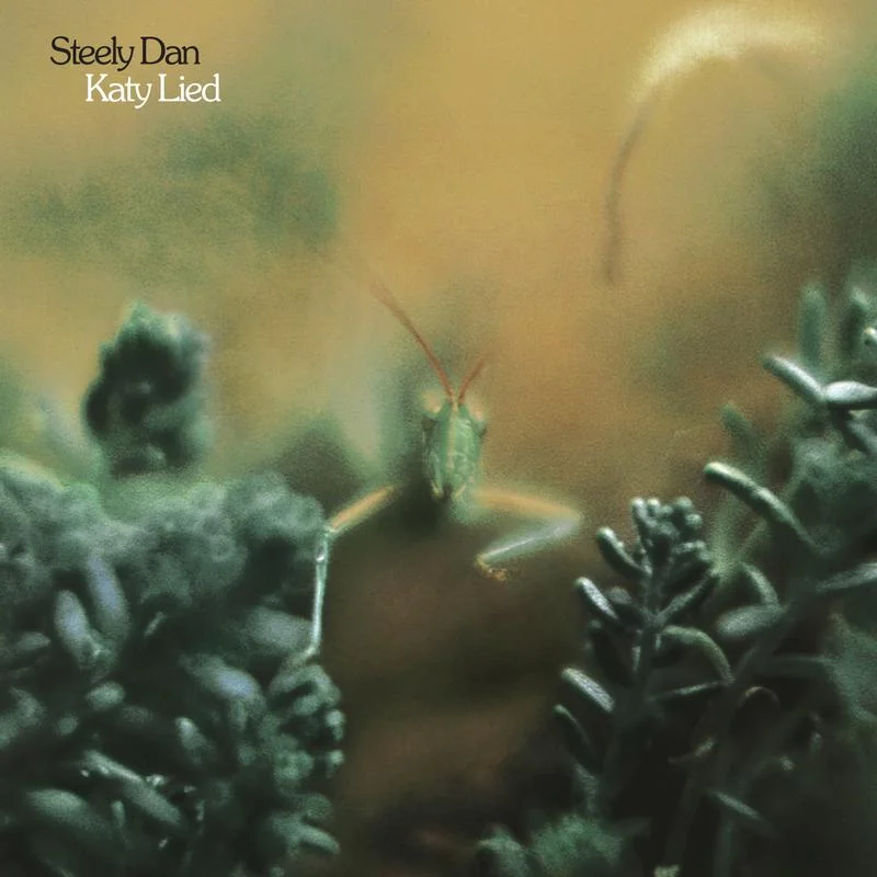 Steely Dan - Katy Lied - Analogue Productions SACD