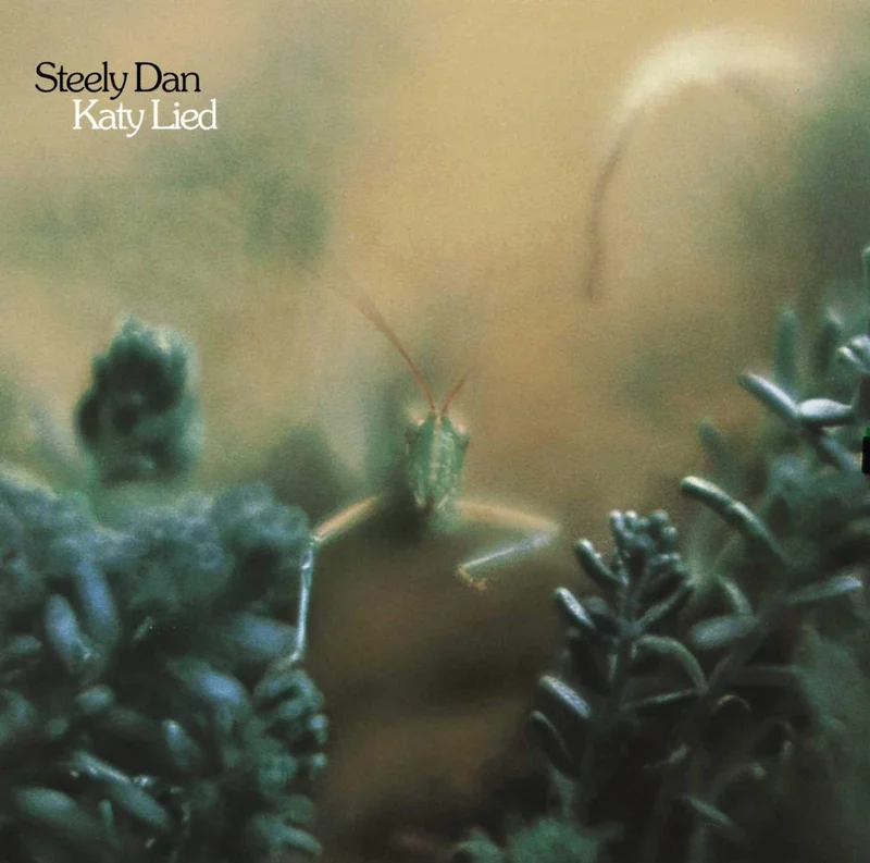 STEELY DAN - Katy Lied (Reissue) - LP - Vinyl