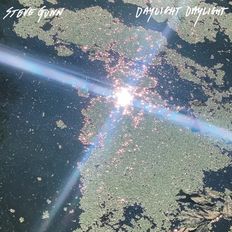 STEVE GUNN - Daylight Daylight - CD [NOV 7]