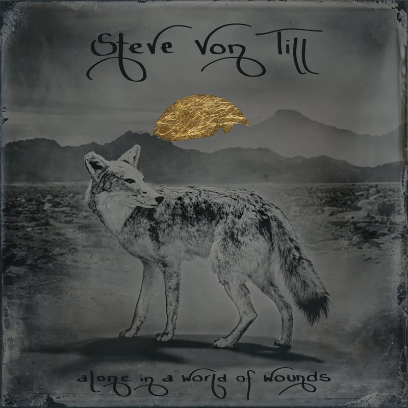 STEVE VON TILL - Alone In A World Of Wounds - CD