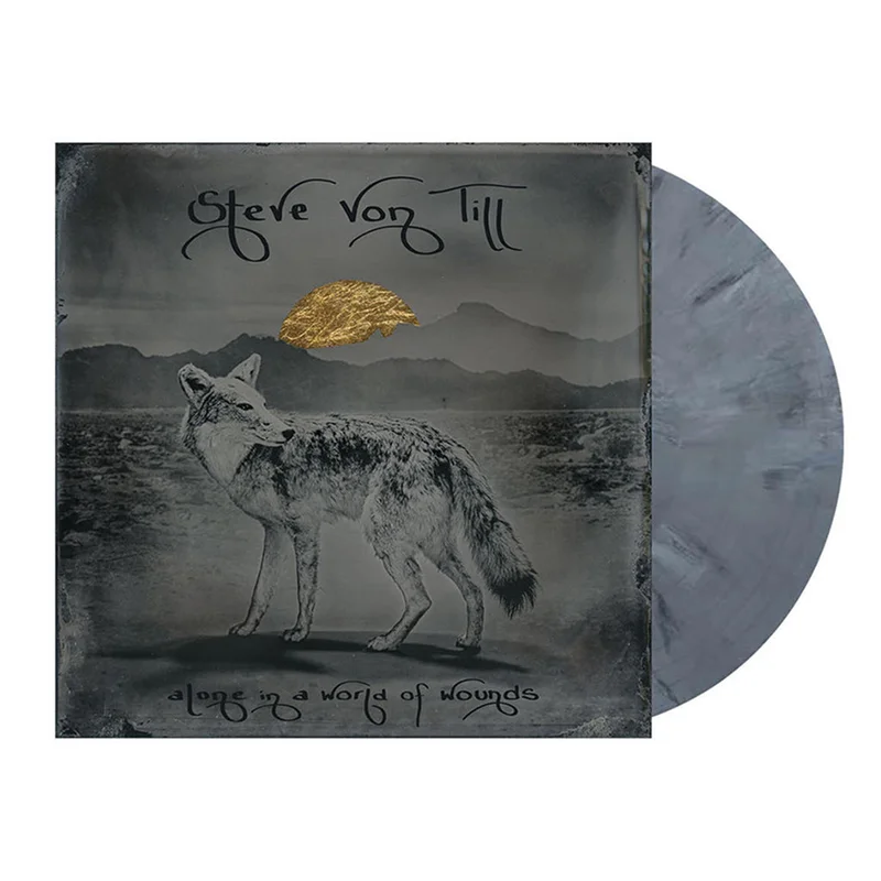 STEVE VON TILL - Alone In A World Of Wounds - LP - Graphite Grey Eco Mix Vinyl