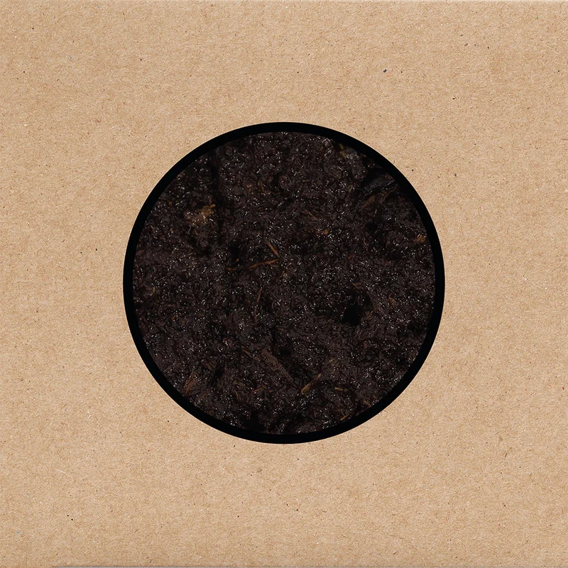 SWANS - Birthing - 2CD [DEC 5]