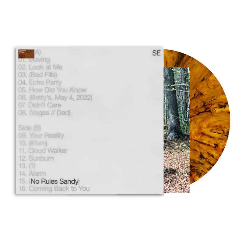 Sylvan Esso - No Rules Sandy - Indie LP