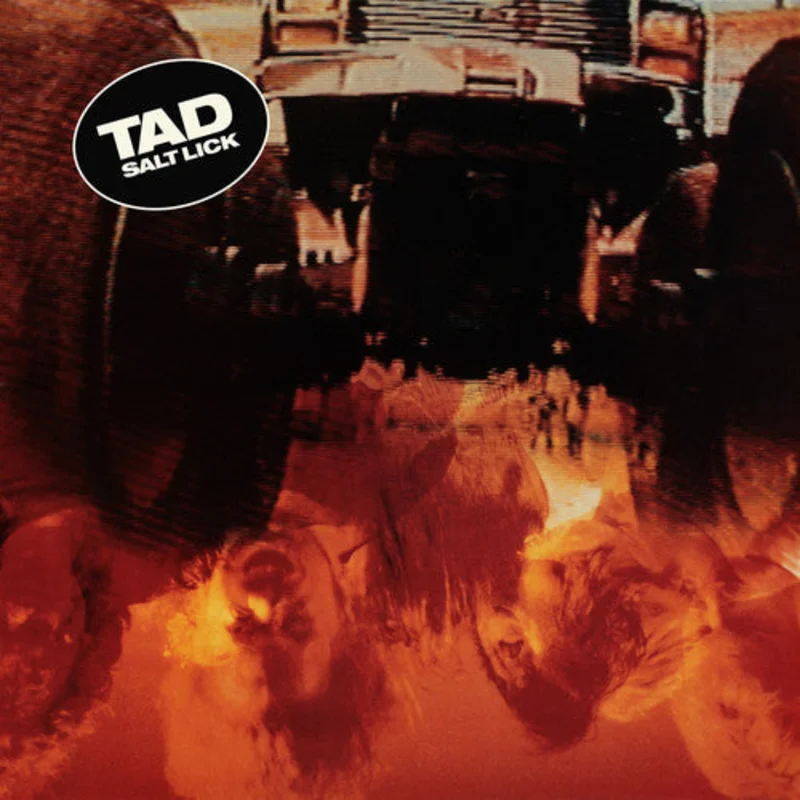 Tad - Salt Lick - LP