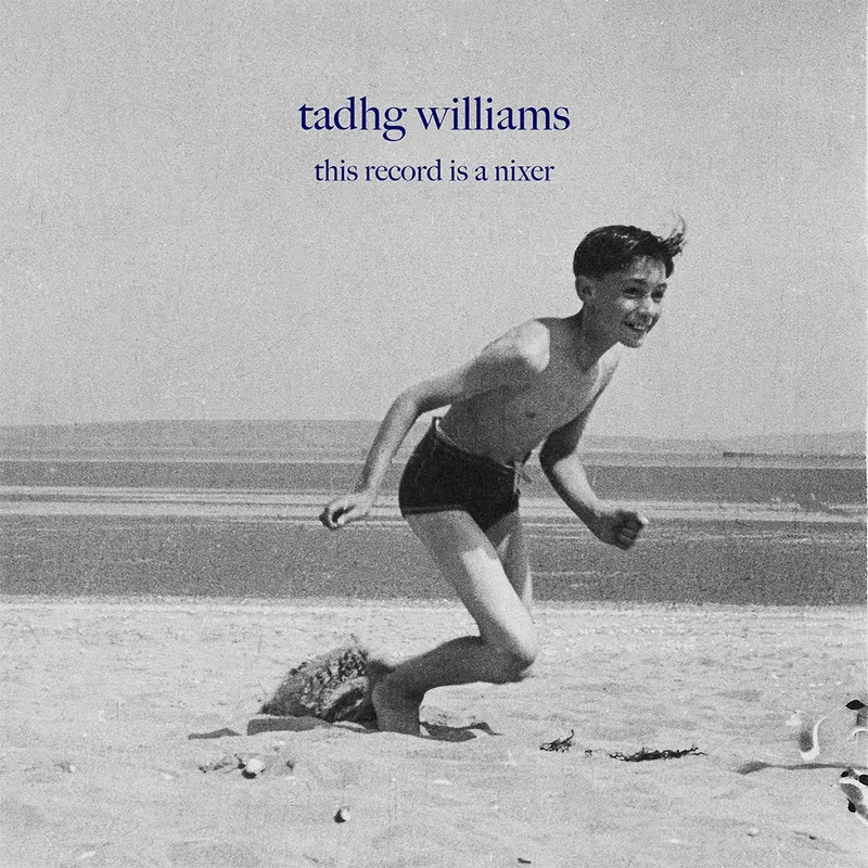 TADHG WILLIAMS - This Record Is A Nixer - 12'' EP - Vinyl